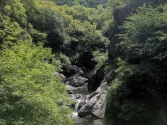 -云岫谷游猎自然风景区