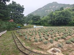 -妙峰山风景名胜区