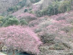 -温州永嘉书院