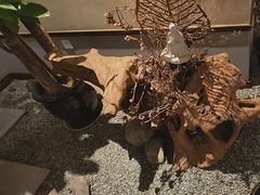 -鼎族怡华·指压·经络·疗愈SPA(紫荆店)