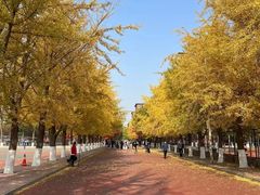 -辽宁大学(崇山校区)