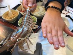 -鲜入围煮花胶鸡海鲜火锅