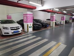 -复旦软件园·智慧新天地-停车场