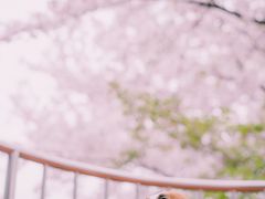 -上海南浦大桥长途旅游客运站