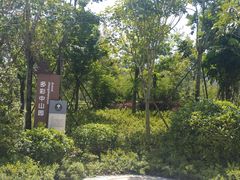 -中山市树木园