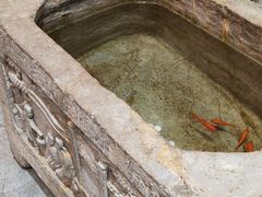 -宁波溪口古镇-民国大杂院