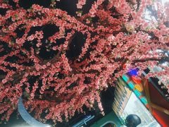 -路边边.炒菜烧烤.音乐餐厅(良乡长虹店)