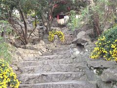 -汇龙潭