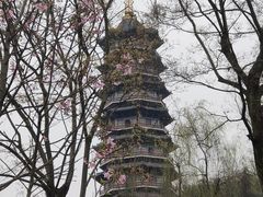 -重庆园博园