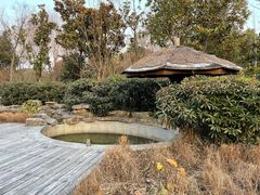 -太湖饭店玉兰厅(自助餐厅)