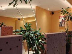 -美泰·Mangothai·清迈云街(天空之城店)
