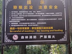 -苏州上方山国家森林公园