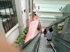 -香港大学