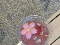 -J Create城市露营咖啡·简餐·宠物(上海动物园店)