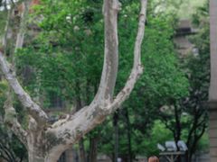 -东南大学(四牌楼校区)