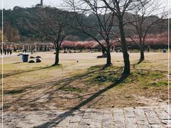 -苏州上方山国家森林公园