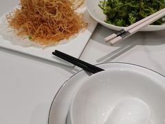 -丁老爷子苏香圆