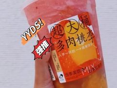 超大桶多肉桃李-喜茶(深圳湾万象城店)