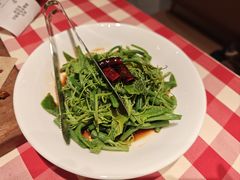 炝拌丝瓜尖-西贝(华发商都店)