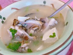 海鱼滚汤-新渔享海鲜餐厅(广海渔人码头店)