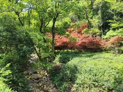 -北仑森林植物园