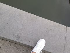 -海河游船-永乐码头(大悲院)