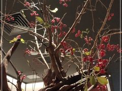 -海底捞火锅(枫蓝国际购物中心店)