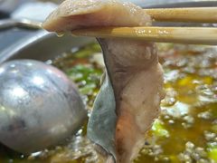 -韩妹鱼庄·泸定老字号(泸定店)