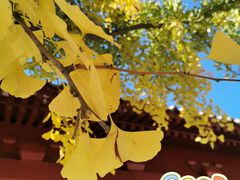 -元大都城垣遗址公园