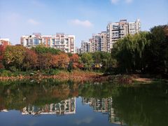-新江湾城公园