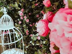 -C'è Amore爱意(亿合城店)