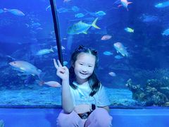 -太平洋海底世界