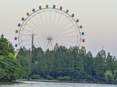 -上海野生动物园