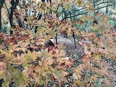 -九鼎铁刹山风景区