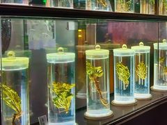 -广东中医药博物馆