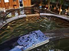 -嘉佑温泉水世界