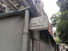 -小草莓·Little Strawberry