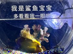 -欢乐海岸海洋奇梦馆