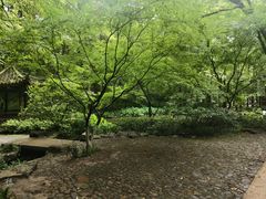 -宋宴(虎跑店)