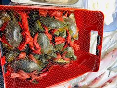 -长平老姿娘夜粥(平东一街店)