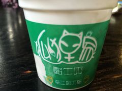 -狐狸家·酸奶酪专门店(平江路店)