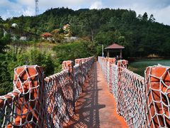 -广州白江湖森林公园