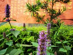 -广州神农草堂中医药博物馆