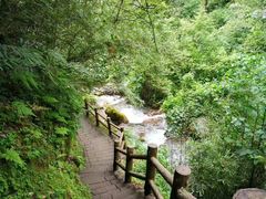 -西岭雪山大飞水景区