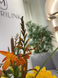 -魔丽卡·中国式美甲美睫