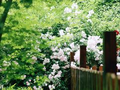 -广富林郊野公园