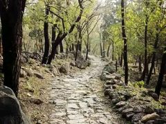 -阳台山自然风景区