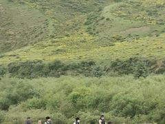 -山丹皇家马场