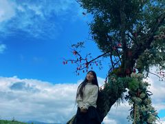 -硗碛藏寨·神木垒景区