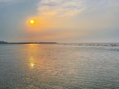 -奉贤海滩